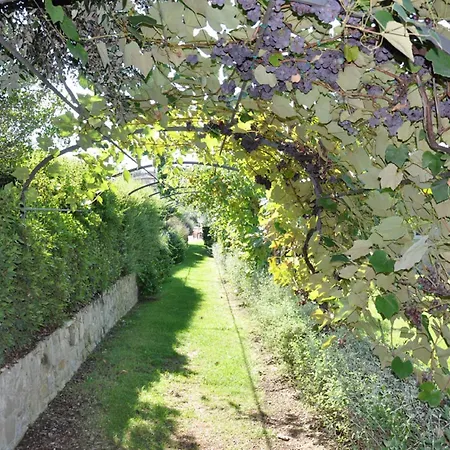Borgo Il Melone